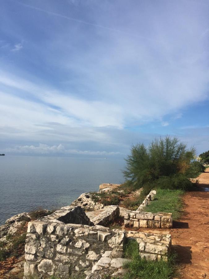 Villa Eva Karigador Novigrad  ภายนอก รูปภาพ