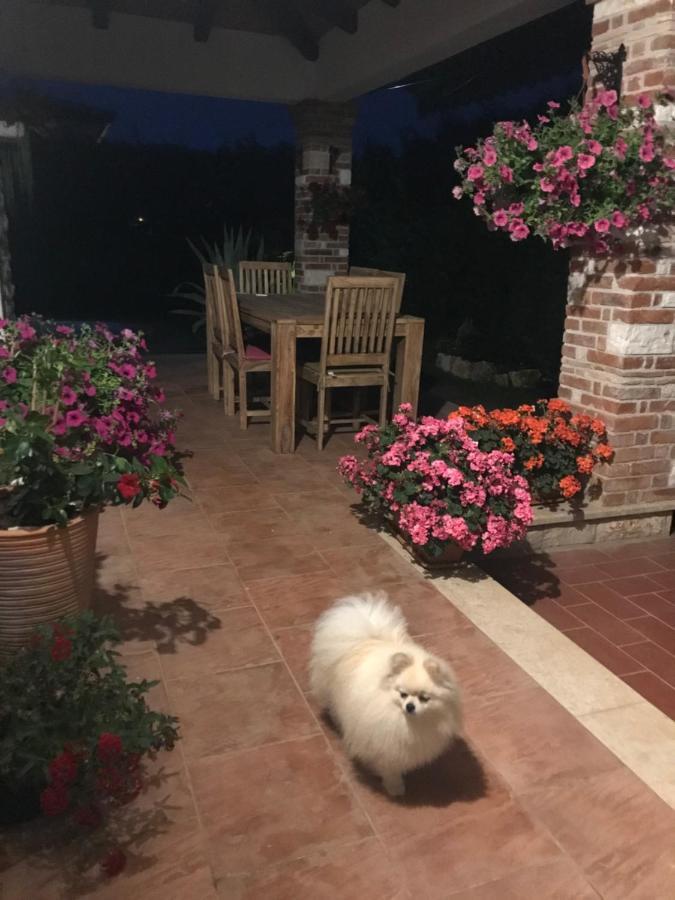 Villa Eva Karigador Novigrad  ภายนอก รูปภาพ