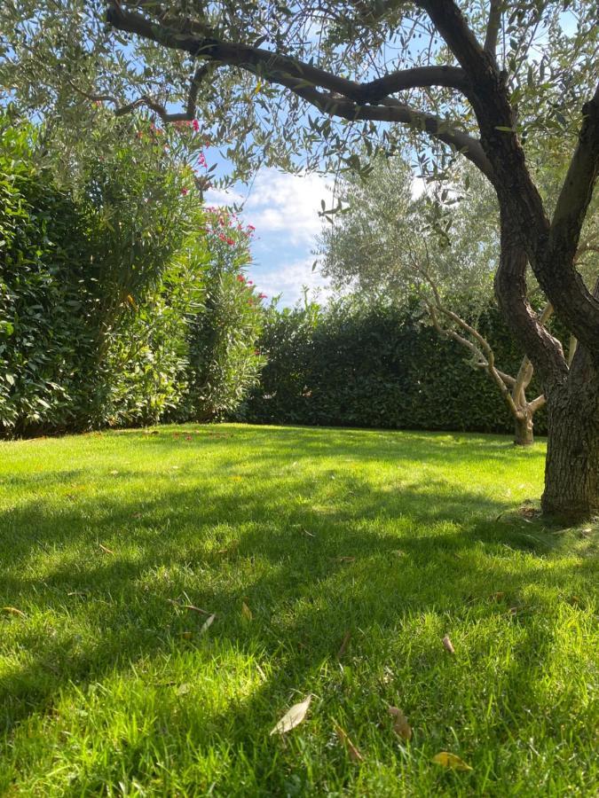 Villa Eva Karigador Novigrad  ภายนอก รูปภาพ